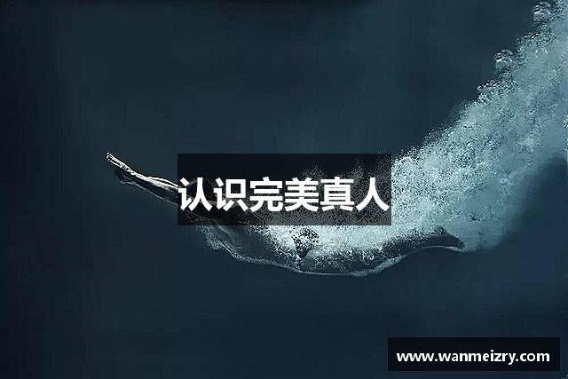认识完美真人